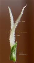  Female flower